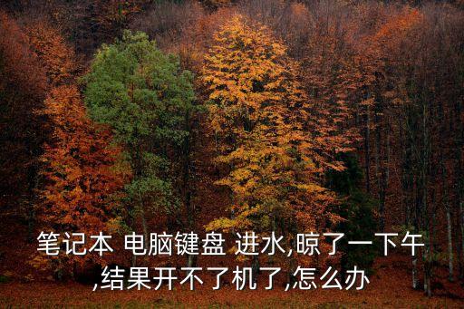 筆記本 電腦鍵盤(pán) 進(jìn)水,晾了一下午,結(jié)果開(kāi)不了機(jī)了,怎么辦