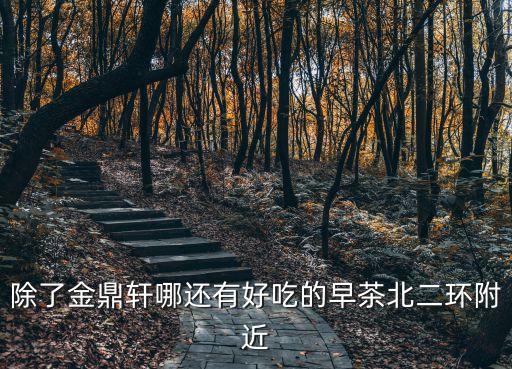 深圳北附近好吃的早茶，深圳北站附近 吃早茶的酒店 有哪些