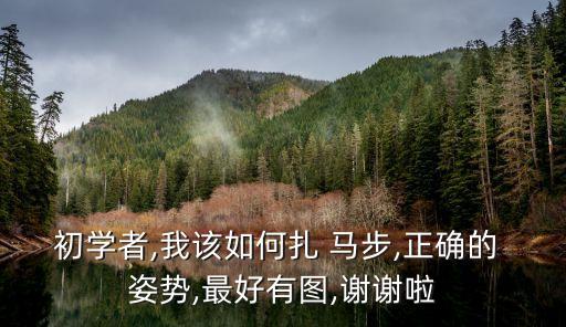 扎馬步的正確姿勢,初學者扎馬步的正確姿勢