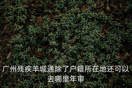 廣州殘疾羊城通除了戶籍所在地還可以去哪里年審