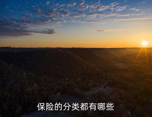 保險種類，保險險種有哪些