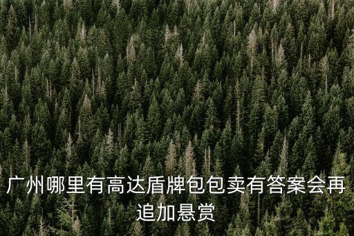廣州哪里有高達盾牌包包賣有答案會再追加懸賞
