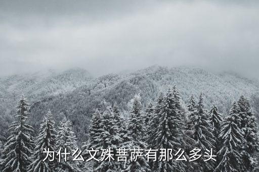 為什么文殊菩薩有那么多頭