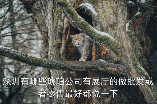深圳有哪些琥珀公司有展廳的做批發或者零售最好都說一下