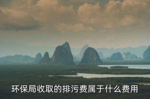 上海市環保局 排污收費，環保局收取的排污費屬于什么費用