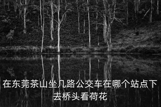 在東莞茶山坐幾路公交車在哪個站點下去橋頭看荷花