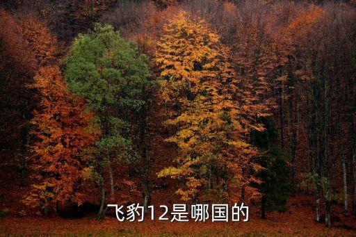 深圳飛豹無人機官網，飛豹 FBC1哪國產的