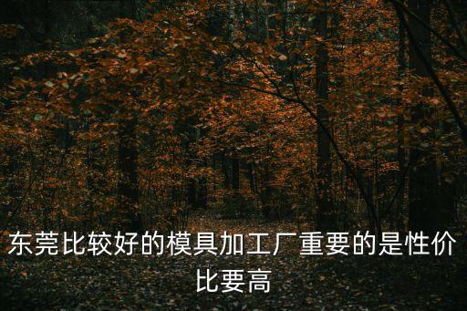 東莞比較好的模具加工廠重要的是性價比要高