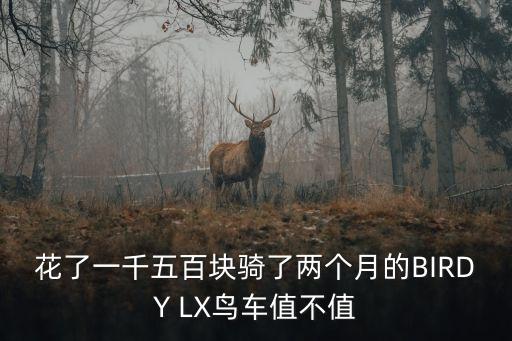 花了一千五百塊騎了兩個月的BIRDY LX鳥車值不值
