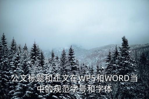 公文標題和正文在WPS和WORD當中的規范字號和字體