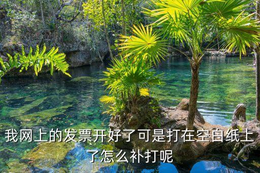我網上的發票開好了可是打在空白紙上了怎么補打呢