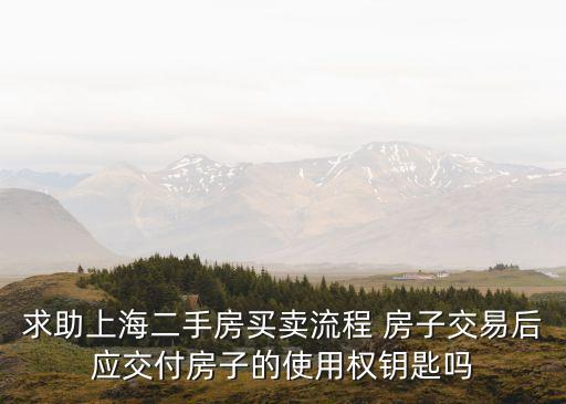 上海市使用權(quán)二手房，求助上海二手房買賣流程 房子交易后應(yīng)交付房子的使用權(quán)鑰匙嗎