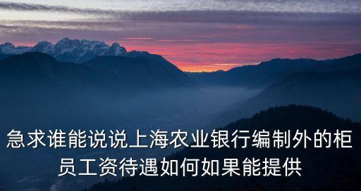 上海市編外人員，市直部分單位公開招聘編外人員怎么樣