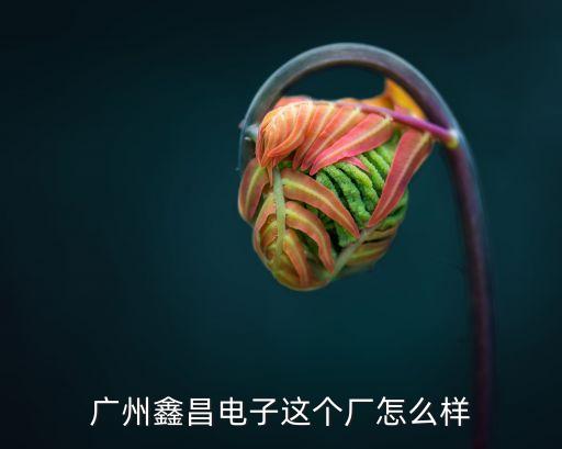 廣州鑫昌電子這個廠怎么樣