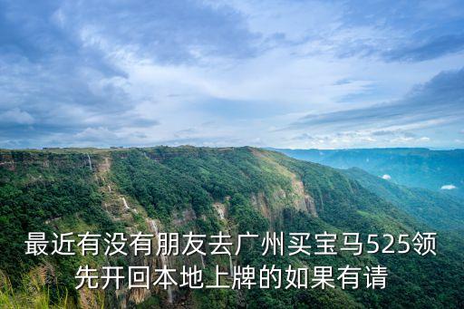 最近有沒有朋友去廣州買寶馬525領先開回本地上牌的如果有請