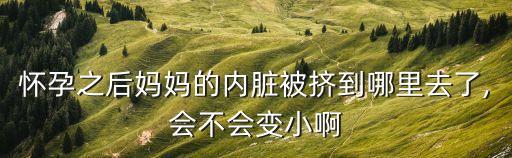 懷孕之后媽媽的內臟被擠到哪里去了,會不會變小啊
