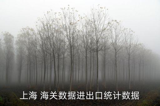 上海市統(tǒng)計數(shù)據(jù)庫，上海 海關(guān)數(shù)據(jù)進出口統(tǒng)計數(shù)據(jù)