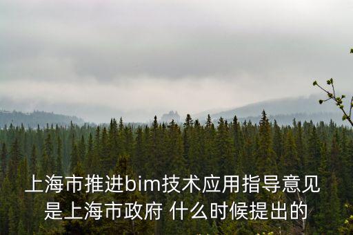 上海市推進bim技術應用指導意見 是上海市政府 什么時候提出的