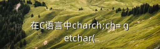 在C語言中charch;ch= getchar(