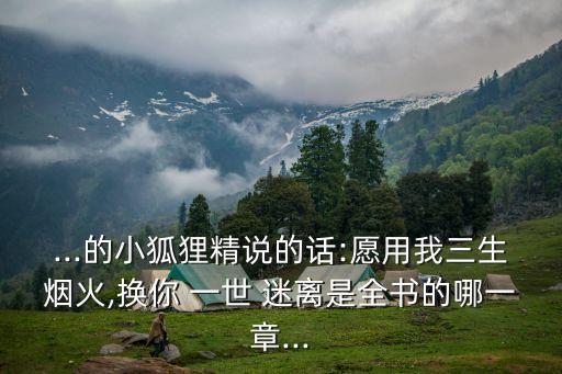 ...的小狐貍精說的話:愿用我三生煙火,換你 一世 迷離是全書的哪一章...