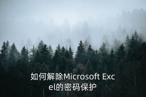 如何解除Microsoft Excel的密碼保護