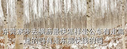 東莞寮步去橫瀝最快怎樣坐公車有走高速的嗎有走東部快線的嗎