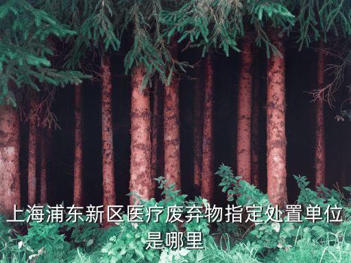 上海市危廢處置中心，上海浦東新區醫療廢棄物指定處置單位是哪里