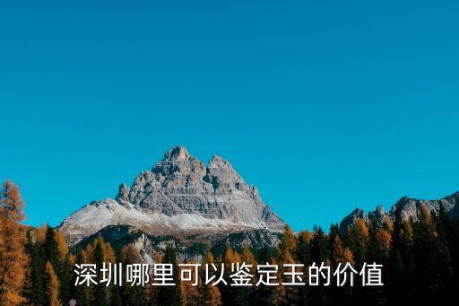 深圳哪里可以鑒定玉的價值