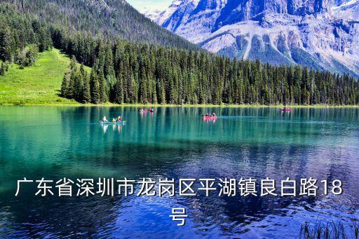 廣東省深圳市龍崗區平湖鎮良白路18號