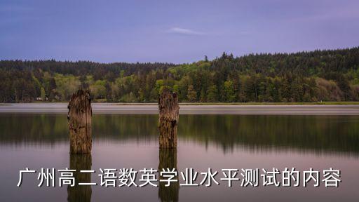 2016廣州市高二數學競賽，廣州高二語數英學業水平測試的內容