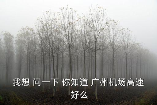 我想 問一下 你知道 廣州機場高速 好么