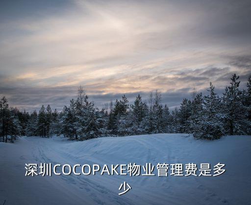 深圳COCOPAKE物業管理費是多少