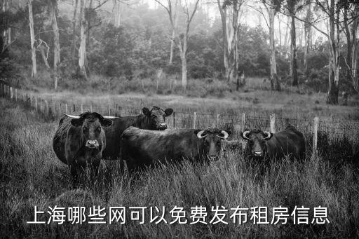 上海市房屋租賃信息，上海哪些網(wǎng)可以免費(fèi)發(fā)布租房信息