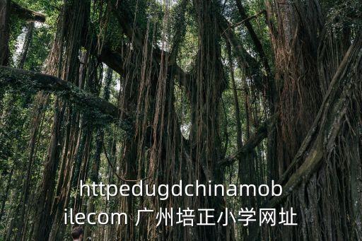 廣州市小學網課網址，廣州有哪些教育咨詢網站