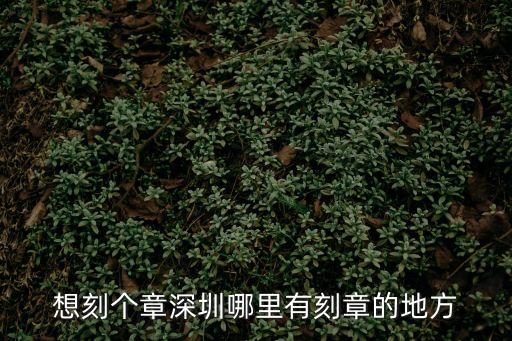 深圳最大的刻章店，想刻個章深圳哪里有刻章的地方