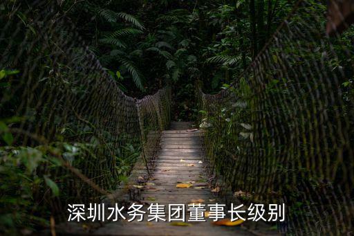 深圳水務集團總經理2000年，深圳市水務集團董事長級別