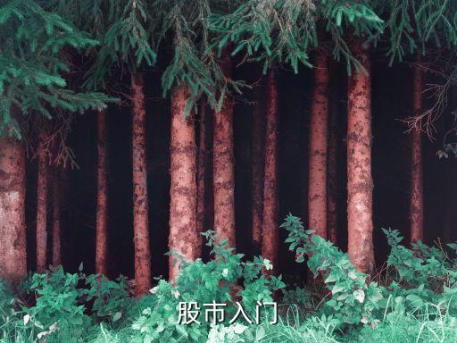 股市入門