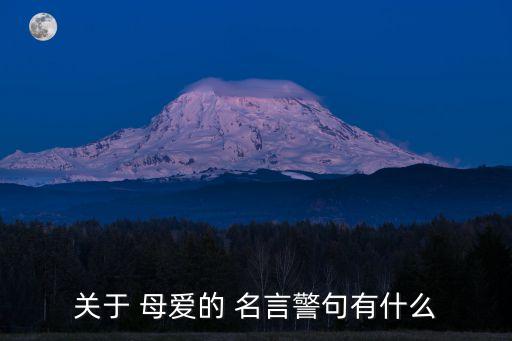 關(guān)于母愛的名言名句,關(guān)于母愛的名言:成功的時候誰都是朋友