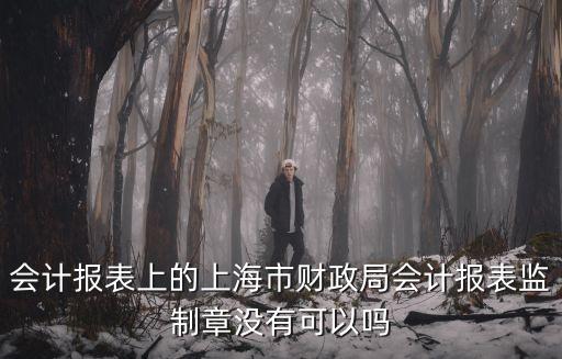 會計報表上的上海市財政局會計報表監制章沒有可以嗎