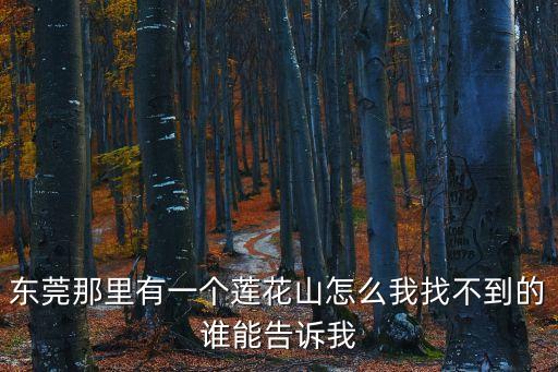 東莞那里有一個蓮花山怎么我找不到的誰能告訴我