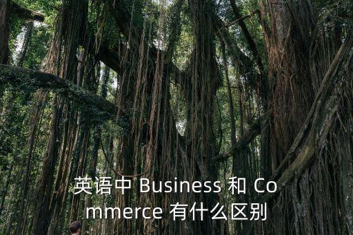 英語中 Business 和 Commerce 有什么區別