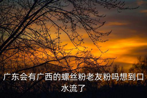 廣東會有廣西的螺絲粉老友粉嗎想到口水流了