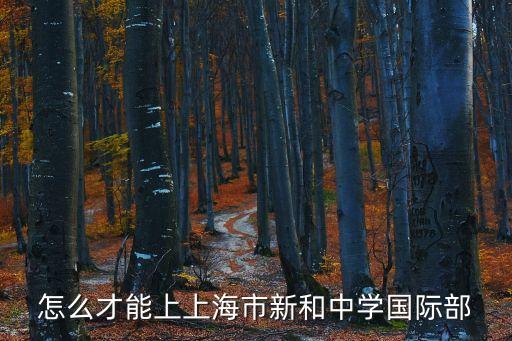 上海市民辦新和中學怎么報名，上海民辦初中的招生流程是什么