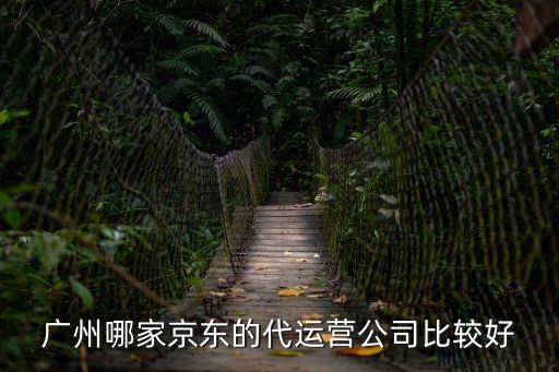 廣州哪家京東的代運營公司比較好