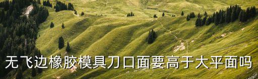 無(wú)飛邊橡膠模具刀口面要高于大平面嗎