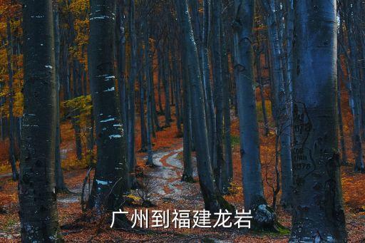 廣州到福州走龍巖，廣州有直達汽車到福建龍巖嗎