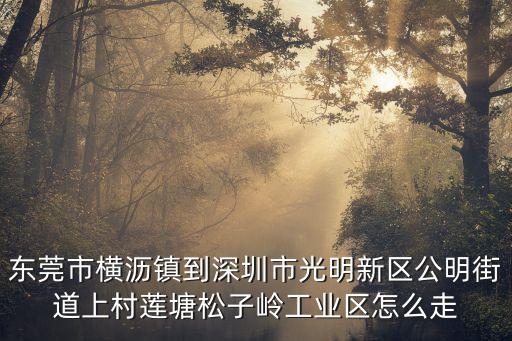 東莞市橫瀝鎮到深圳市光明新區公明街道上村蓮塘松子嶺工業區怎么走
