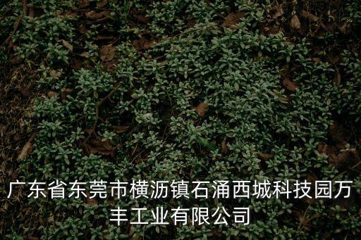 東莞油茶產業集團有限公司，油茶種植企業取名