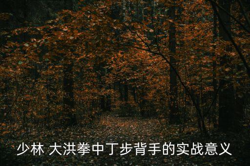 大洪拳,六步架大洪拳首訣解悟:絕非少林拳分支