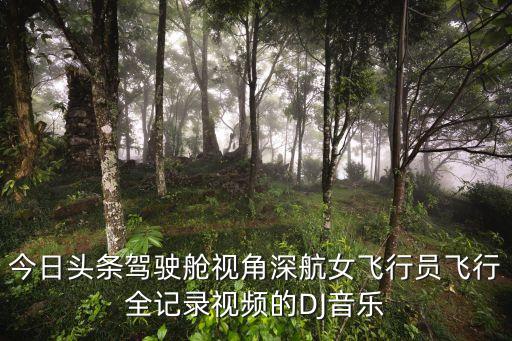 今日頭條駕駛艙視角深航女飛行員飛行全記錄視頻的DJ音樂